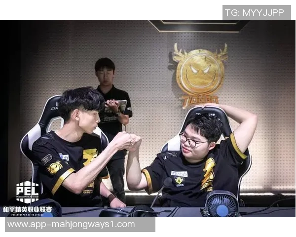 和平精英焦点RNG团队协作策略与战术分析探讨